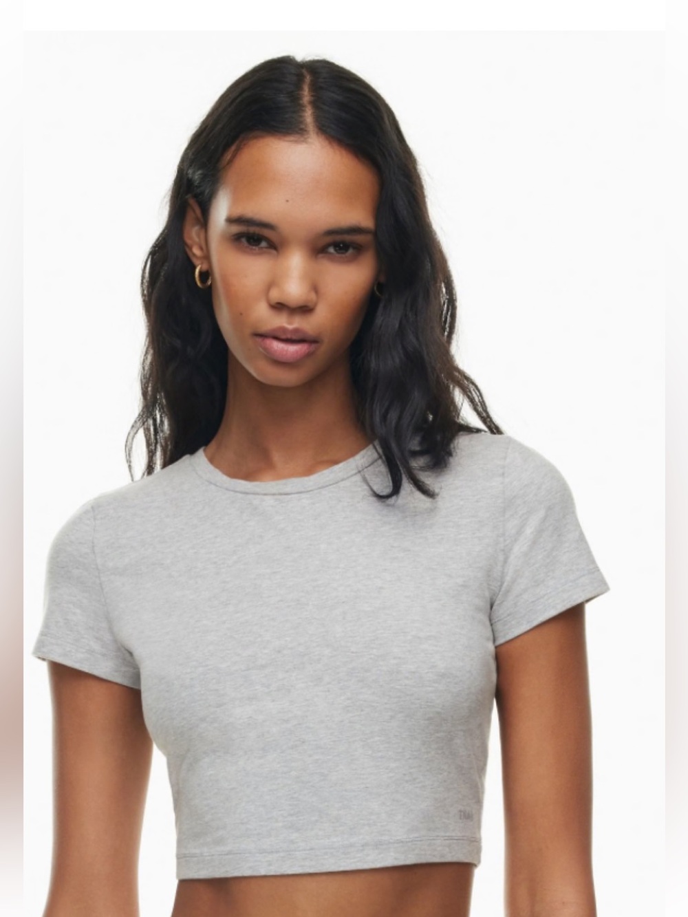 Aritzia TNA Heather Grey Cropped Tee